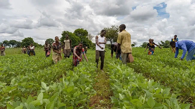 Development,Community,Trending community,Environment,Energy,Investment,Career,Nigerianfood,nigerianecommerce,nigerianstartup,lagosshopper,online business community in Nigeria