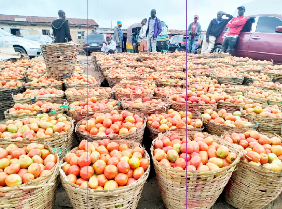Development,Community,Trending community,Environment,Energy,Investment,Career,Nigerianfood,nigerianecommerce,nigerianstartup,lagosshopper,online business community in Nigeria