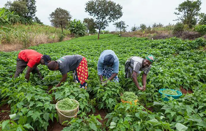 Development,Community,Trending community,Environment,Energy,Investment,Career,Nigerianfood,nigerianecommerce,nigerianstartup,lagosshopper,online business community in Nigeria