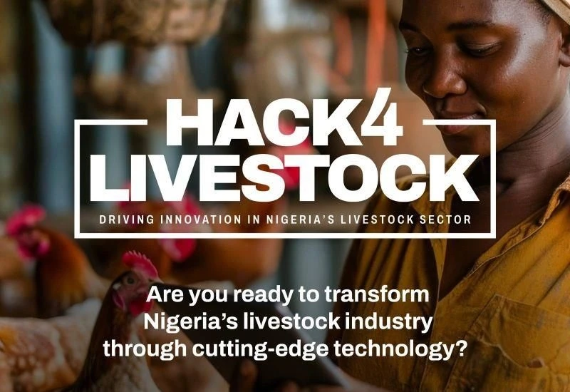 Development,Community,Trending community,Environment,Energy,Investment,Career,Nigerianfood,nigerianecommerce,nigerianstartup,lagosshopper,online business community in Nigeria