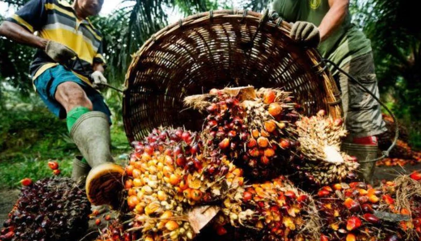 Development,Community,Trending community,Environment,Energy,Investment,Career,Nigerianfood,nigerianecommerce,nigerianstartup,lagosshopper,online business community in Nigeria