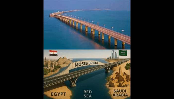 Development,Community,Investment,Nigeria business community