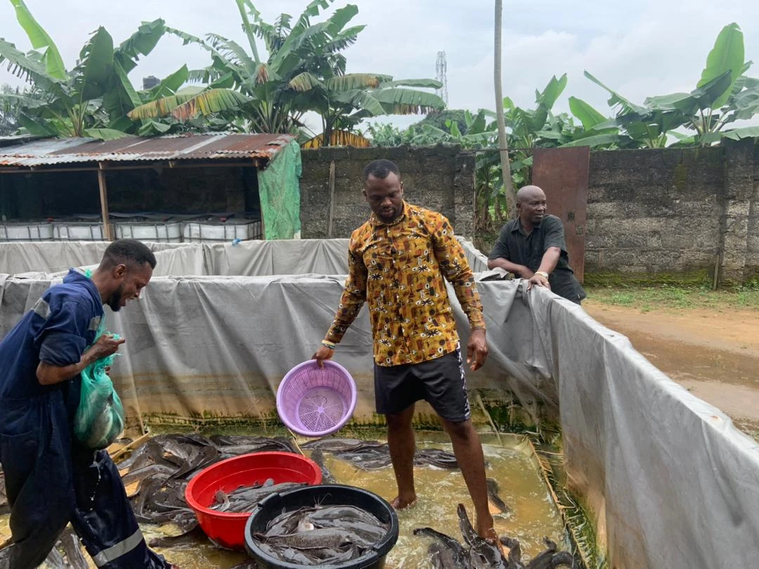 Development,Community,Trending community,Environment,Energy,Investment,Career,Nigerianfood,nigerianecommerce,nigerianstartup,lagosshopper,online business community in Nigeria