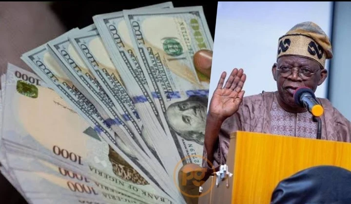 Development,Latest Community,Trending community,Investment,nigerianecommerce