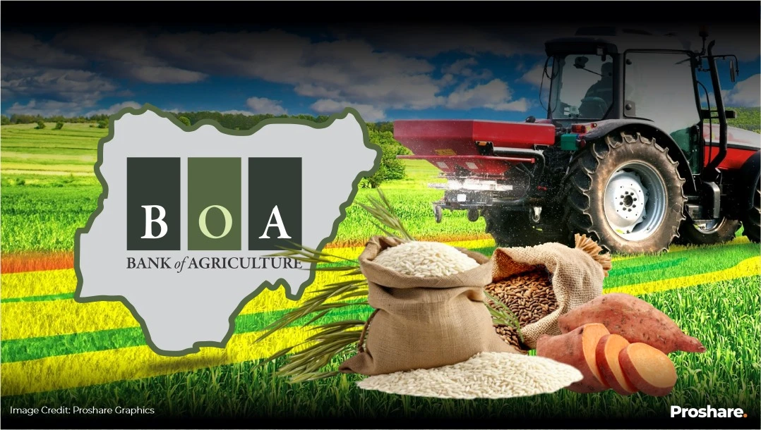 agriculture,agricultural business in nigeria,agribusiness,agric nigeria,agriculture in nigeria,nigeria and agriculture,agricultural products,farming in nigeria,agric business plan,farm solutions,fish farming,fish farm lagos,fish farming in nigeria,pig farm,pig farming in nigeria,piggery farming in nigeria,piggery