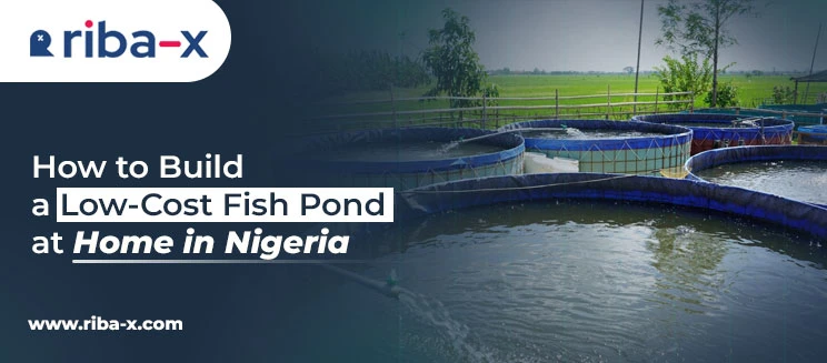 agriculture,agricultural business in nigeria,agribusiness,agric nigeria,agriculture in nigeria,nigeria and agriculture,agricultural products,farming in nigeria,agric business plan,farm solutions,fish farming,fish farm lagos,fish farming in nigeria,pig farm,pig farming in nigeria,piggery farming in nigeria,piggery