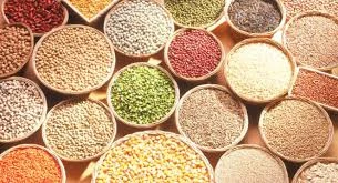 agriculture,agricultural business in nigeria,agribusiness,agric nigeria,agriculture in nigeria,nigeria and agriculture,agricultural products,farming in nigeria,agric business plan,farm solutions,fish farming,fish farm lagos,fish farming in nigeria,pig farm,pig farming in nigeria,piggery farming in nigeria,piggery