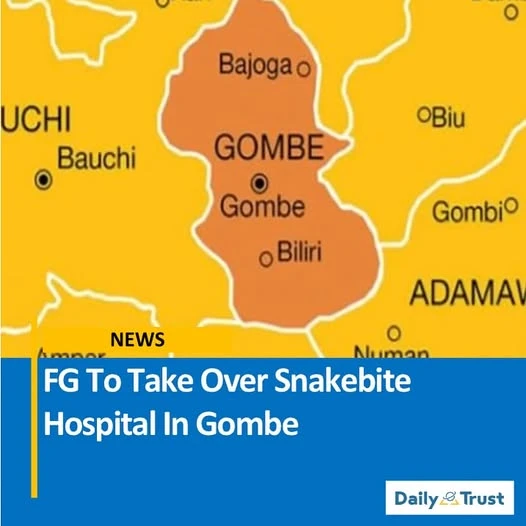 Development,Trending community,Therapy & Wellness,nigerianecommerce