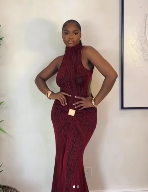 Stylish Detailed Brooch Dress