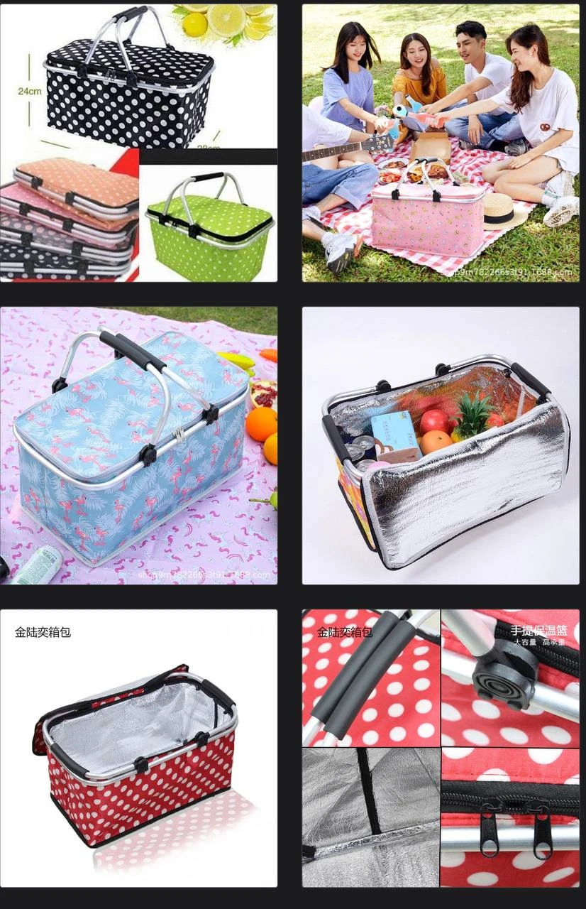 COLLAPSIBLE INSULATED PICNIC BAG (RANDOM DESIGN SELECTION)