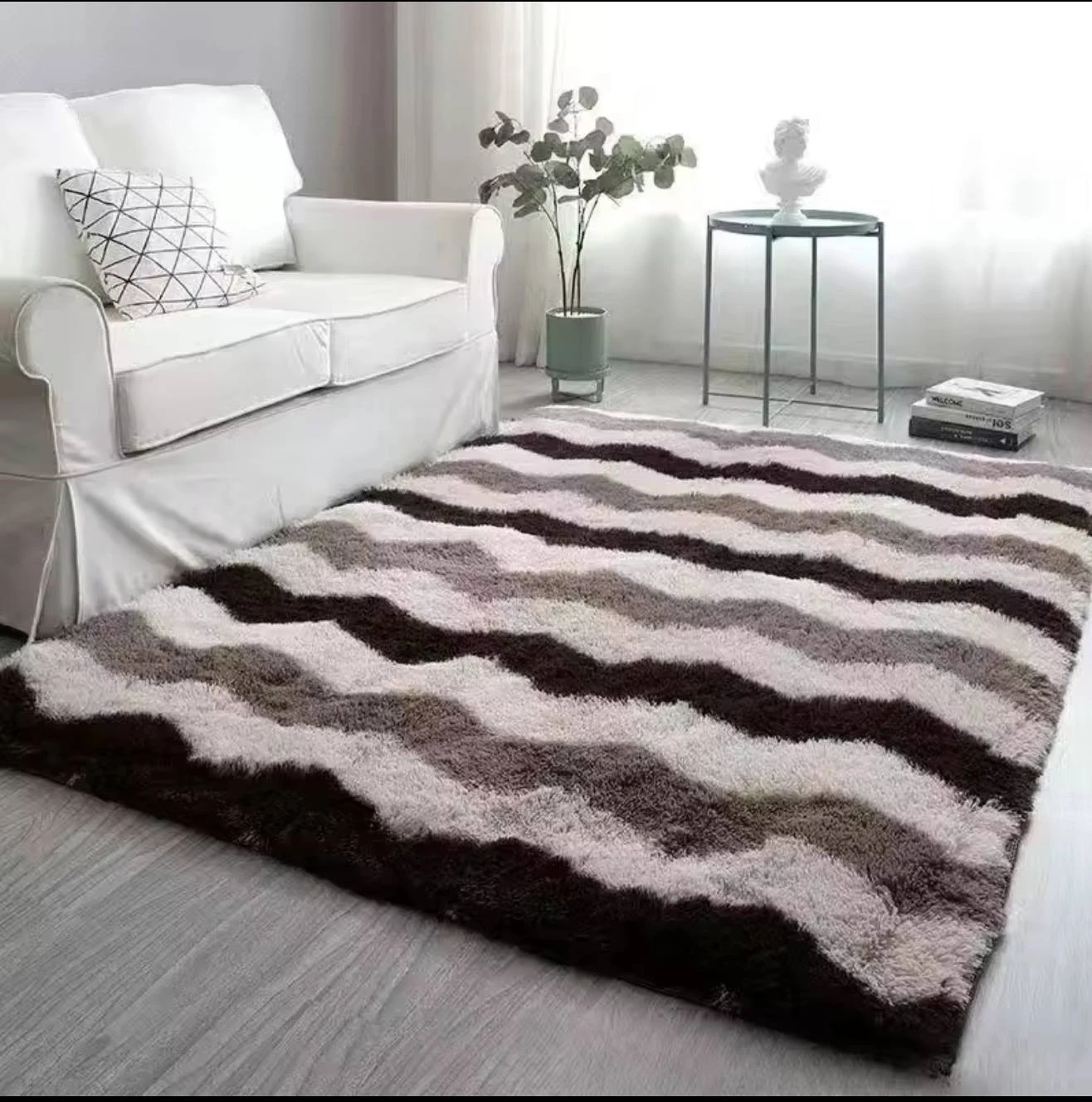 Premium Fluffy Area Rug Cute Shag Carpet Extra Soft and Shaggy Carpets Indoor Fuzzy Rugs for Living Room Super Soft Fluffy Rug