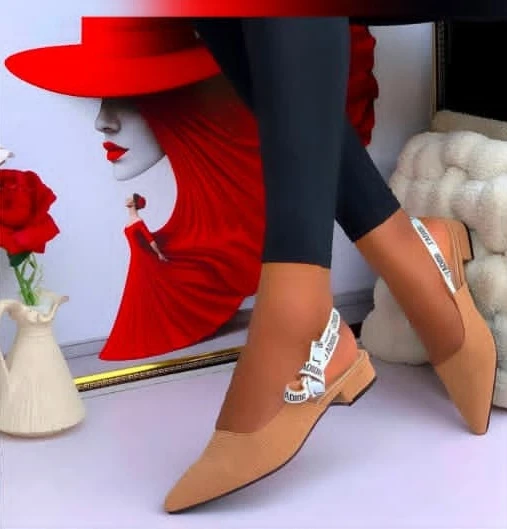 Elegant Women's Flat Shoes