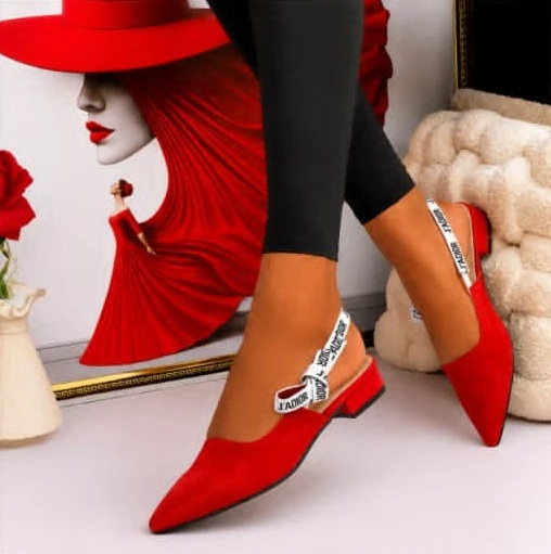 Elegant Women's Flat Shoes