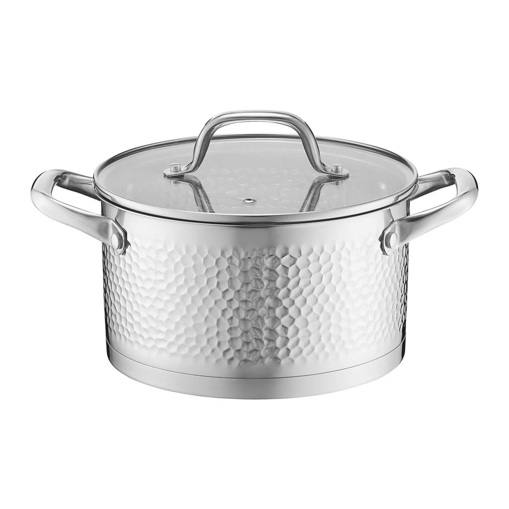 HausRoland Stainless Steel Cooking Pot Set With Glass Lids
